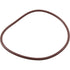 Pentair Replacement High Capacity Viton O-Ring for In-Line Chlorinators (R172240Z)