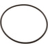 Jandy Replacement Valve Cover O-Ring for NeverLube Valves (1132)