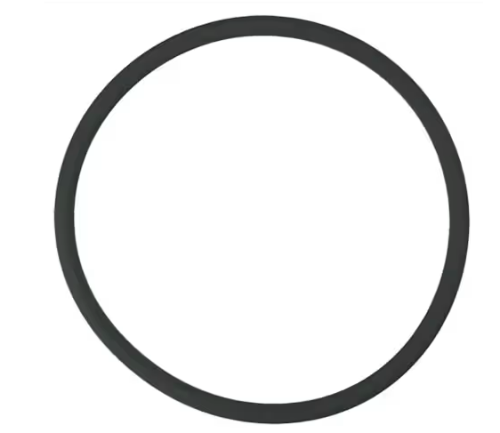 Pentair Replacement Viton Lid O-Ring for Rainbow Model 320 & 322 In-Line Chlorinators (R172009Z)