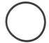 Pentair Replacement Viton Lid O-Ring for Rainbow Model 320 & 322 In-Line Chlorinators (R172009Z)