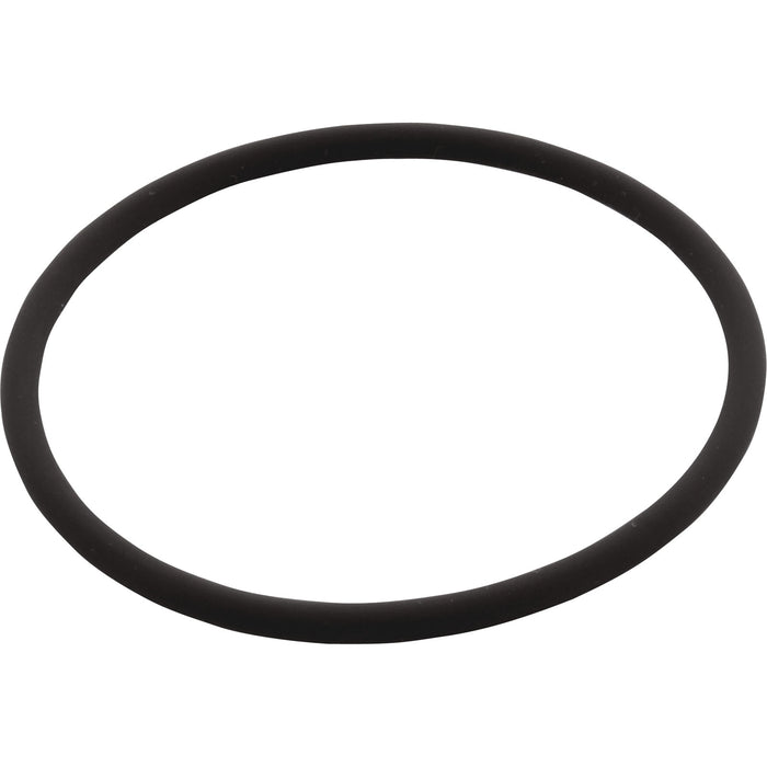 Pentair Replacement Union O-Ring for Challenger Pumps, 2 3/8" ID, 1/8" CS