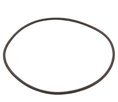 Hayward Replacement Lid O-Ring For SwimClear C150S Cartridge Filter (CXFHR1001)