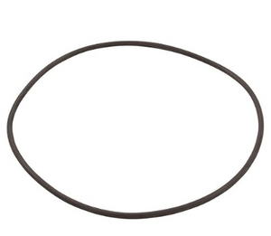 Hayward Replacement Lid O-Ring For SwimClear C150S Cartridge Filter (CXFHR1001)