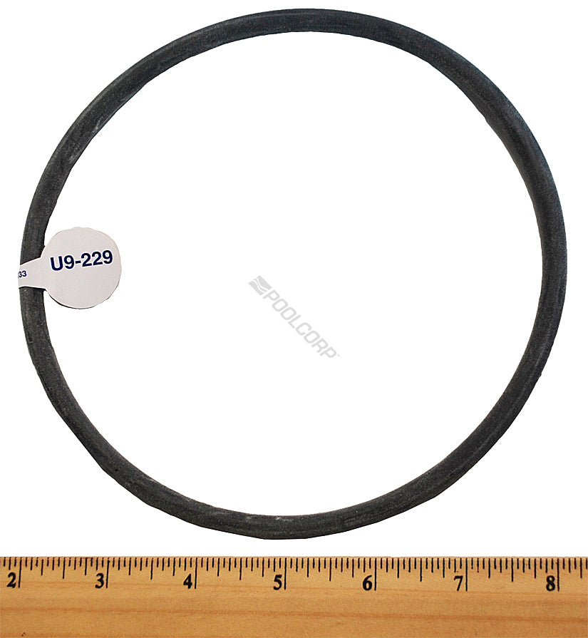 Pentair Replacement Strainer Cover O-Ring (U9-229Z)