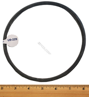 Pentair Replacement Strainer Cover O-Ring (U9-229Z)