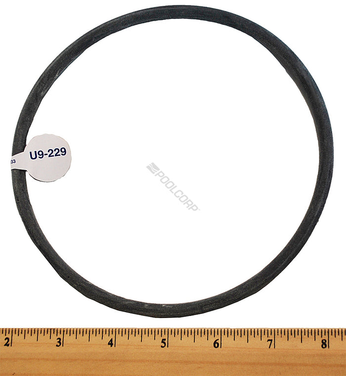 Pentair Replacement Strainer Cover O-Ring (U9-229Z)