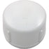 PVC Fitting, Cap, 2" Slip (447-020)