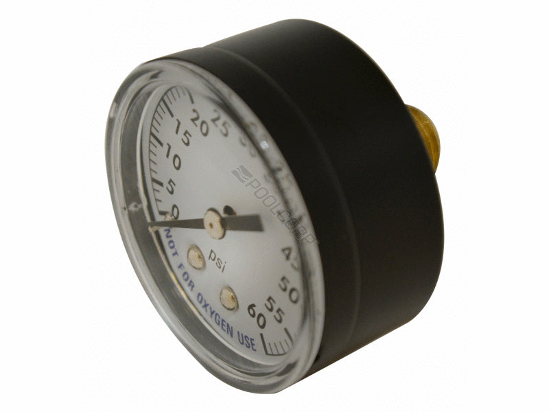 Filter Pressure Gauge, Back Mount, 0-60 PSI (80960BU)