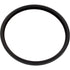 Hayward Replacement Lens Gasket for AstroLite Pool Light (SPX0580Z2 / SPX0540Z2)