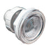 DreamMaker Spas Replacement Main LED Light Assembly (308023)