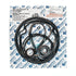 Pentair Replacement Pump Seal Kit for WhisperFlo Pumps, Viton (GO-KIT32V-9)