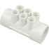 Manifold, 2" Slip x 2" Slip, 6 Port, 1/2" Slip (672-4110)