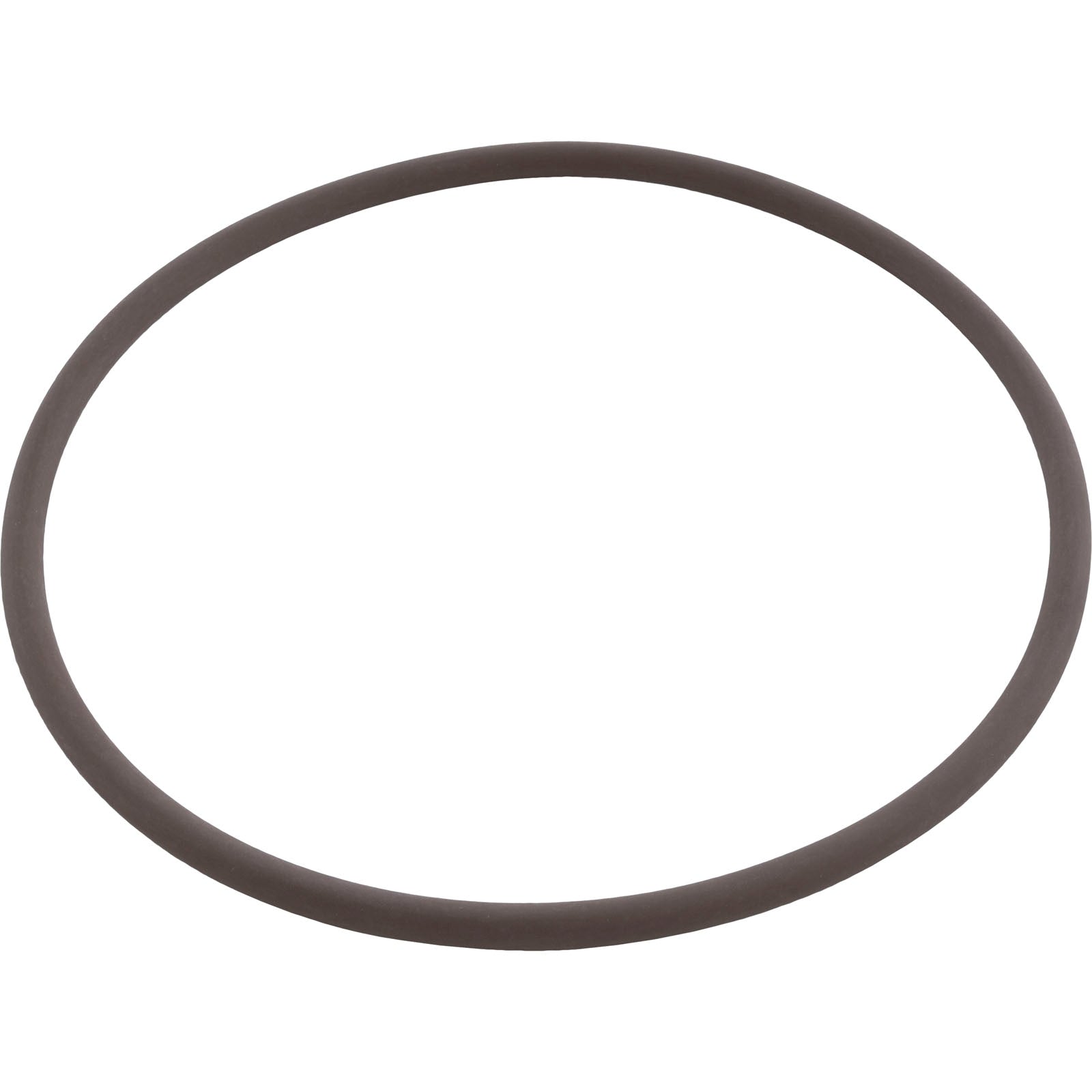 Hayward Replacement O-Ring for CL200/CL220 Chlorinator Lid VITON RUBBER (CLX200K)