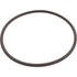 Hayward Replacement O-Ring for CL200/CL220 Chlorinator Lid VITON RUBBER (CLX200K)