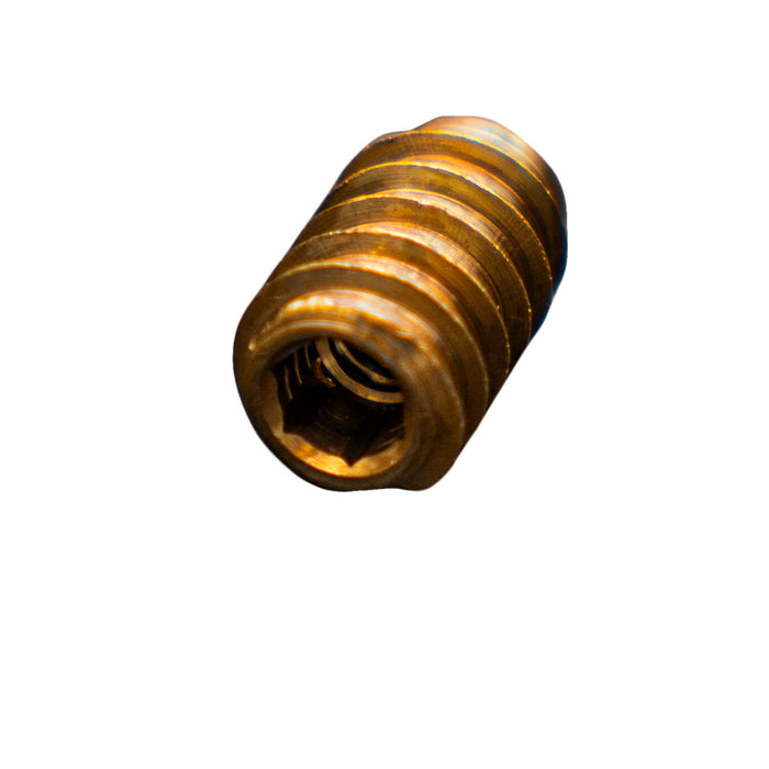 Hot Spring Replacement Brass Insert Screw (300040)