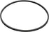 Pentair Replacement O-Ring for Commercial Dome Closures, 8 1/2" (152509)