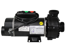 Hot Spring Replacement Jet Pump, 2.5HP, 2 Speed, 230V, 60Hz (73023)