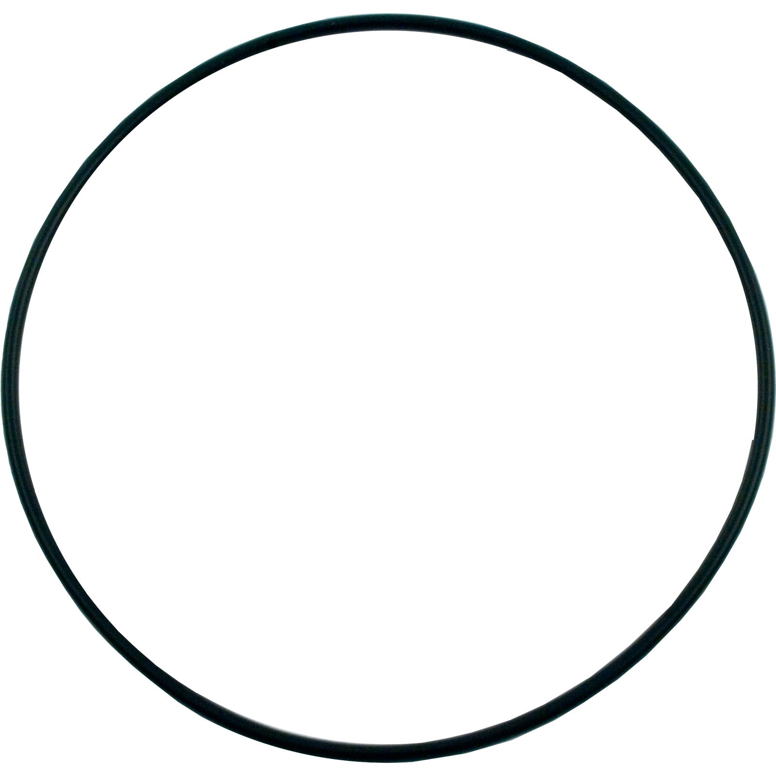 Hayward Replacement Housing O-Ring for Powerflo II Pumps (SPX1705Z1)