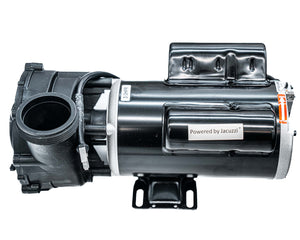 DreamMaker Spas Replacement Jet Pump, 3HPR 120V 2SP (304999-1)