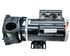 DreamMaker Spas Replacement Jet Pump, 3HPR 120V 2SP (304999-1)