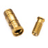 Safety Cover Brass Anchor Assembly for Concrete Decks