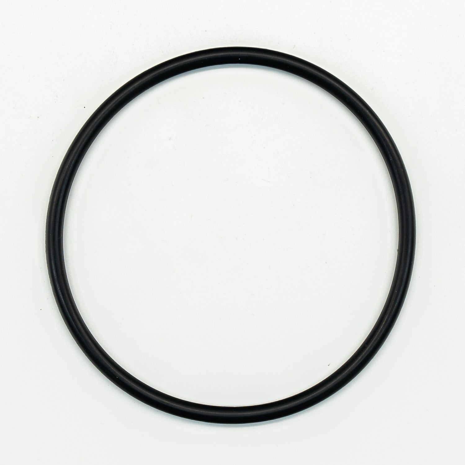 Speck Pump Replacement Strainer Lid O-Ring, 4" Lid (O-15-49)