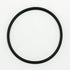 Speck Pump Replacement Strainer Lid O-Ring, 4" Lid (O-15-49)