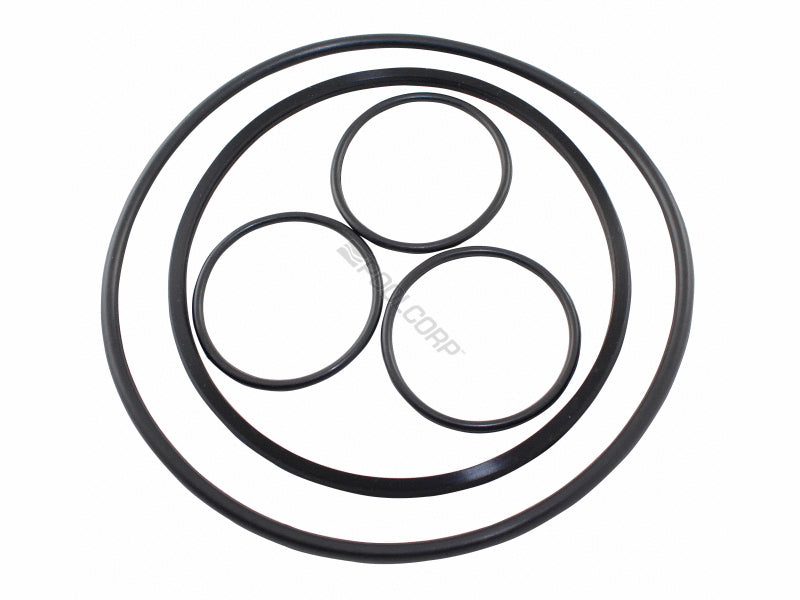 Hayward Replacement O-Ring Kit for VL Series (VLX4004A)