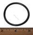 Hayward Replacement O-Ring for SP1022C Plug (SPX1022CZ2)