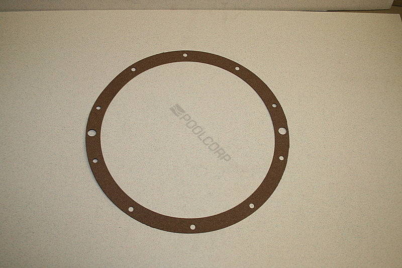 Hayward Replacement Light Niche Gasket (SPX0506D)