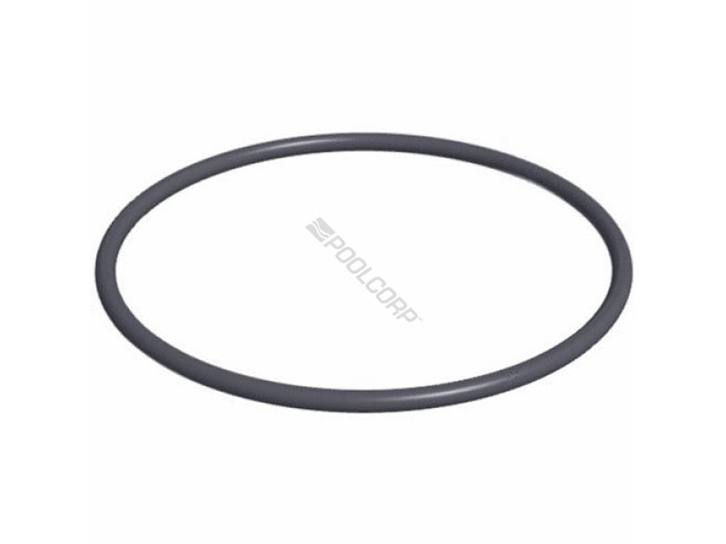 Hayward Replacement Strainer Cover O-Ring for PowerFlo LX Pump (SPX1500P)