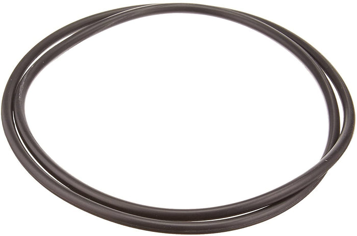 Hayward Replacement Body O-Ring for XStream Cartridge Filters (CCX1000G)